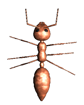 Image result for ‫تصاویر متحرک حشرات‬‎