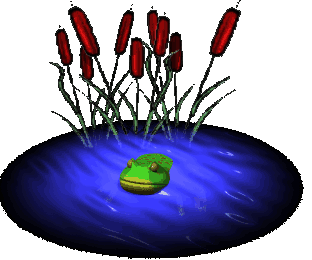 Image result for ‫تصاویر متحرک قورباغه‬‎