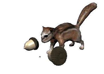 Image result for ‫تصاویر متحرک سنجاب‬‎