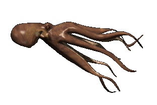 Image result for ‫تصویر متحرک هشت پا‬‎