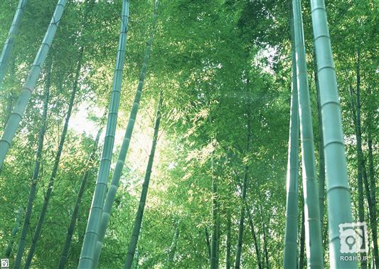 82.33830.medium.aspx