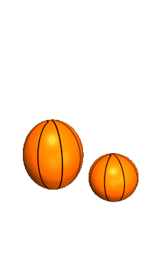 بهترین کلاس بسکتبال نیاوران 